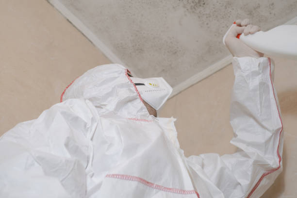 Best Toxic Mold Removal  in Pleasantdale, NJ