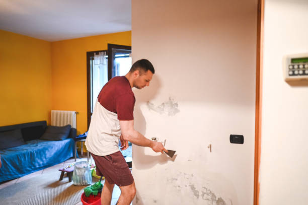 Best Same-Day Mold Removal  in Pleasantdale, NJ